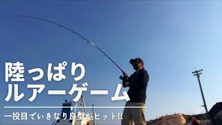 【石巻】陸っぱりルアーフィッシング