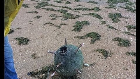 На берег Анапы после шторма выбросило похожий на морскую мину предмет