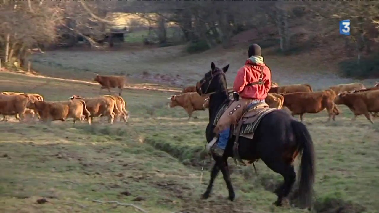 Creuse : un éleveur en mode 