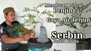 Membuat Bonsai Penjing Seribu Bintang/serisa futida.gaya air terjun..penjing sederhana