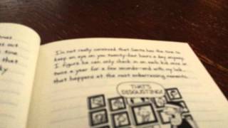 Diary of a wimpy kid cabin fever summary