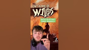 #gamedesign #indiegame #gaming #indiegamedevs #gamedevelopment #rpg #gameprogramming #gamedesigning