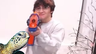 Why Michael Reeves Hates Turtles...