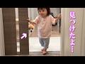 赤ちゃんとポメラニアンから深刻なストーカー被害に遭っています…