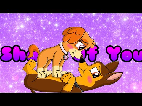 Paw Patrol/ Shape Of You Skase Tribute💙🩷🐾