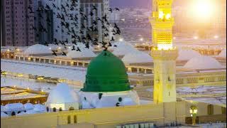 Masjid-e-Nabvi ,islamic background video no copyright