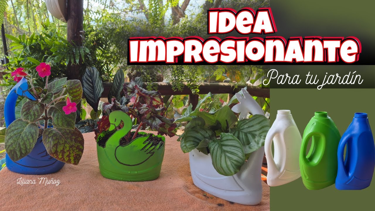 😍VARIAS PLANTAS EN MACETAS INNOVADORAS para su jardín/Liliana Muñoz