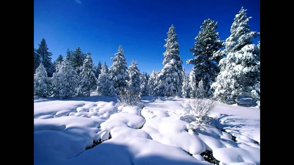 ســورة مريــم ,,, منصـور الزهرانـي ,,,