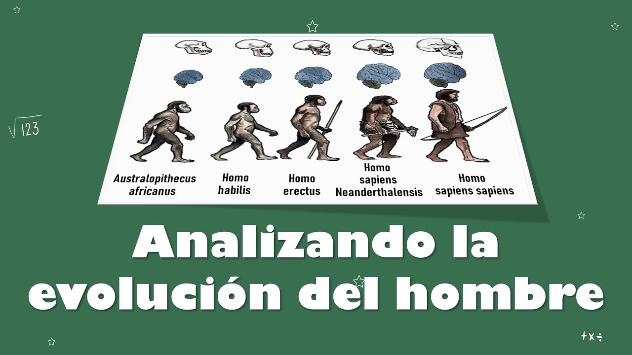 ⭐Analizando la imagen de la evolución del hombre 📗 aulamedia Historia ...