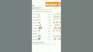 English Workbook Worksheet 16 || karyapatrak 16 @nkbyadwal #worksheet16 #nkbyadwal