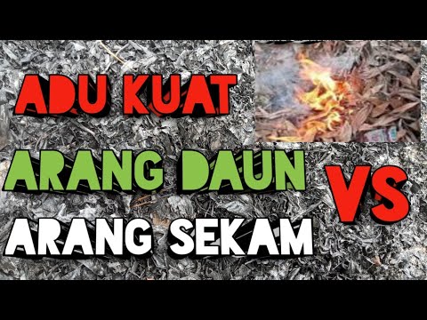 Video: Arang Panggangan: Barbeku Arang Untuk Kotej Musim Panas, Bagaimana Memilih Model Laras Tinggi Untuk Ruang Tertutup Dan Pembuatan Shawarma, Pilihan CMI