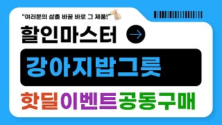 강아지밥그릇 추천! 베스트 구매 가이드와 사용 후기 공유
