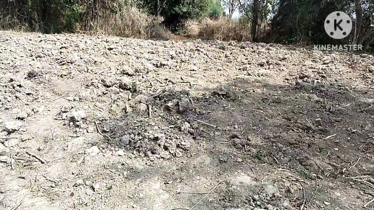 ขายที่นา 45-3-99.5 ไร่ๆละ 1 แสนบาทที่ิอำเภอวานรนิวาส สกลนคร