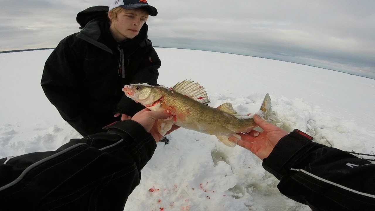 Northern Michigan Ice fishing Walleye & Perch Early January YouTube