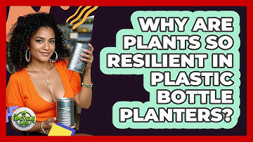 Why Are Plants So Resilient In Plastic Bottle Planters? - The Upcycle Lab