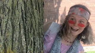 APES end of the year music video