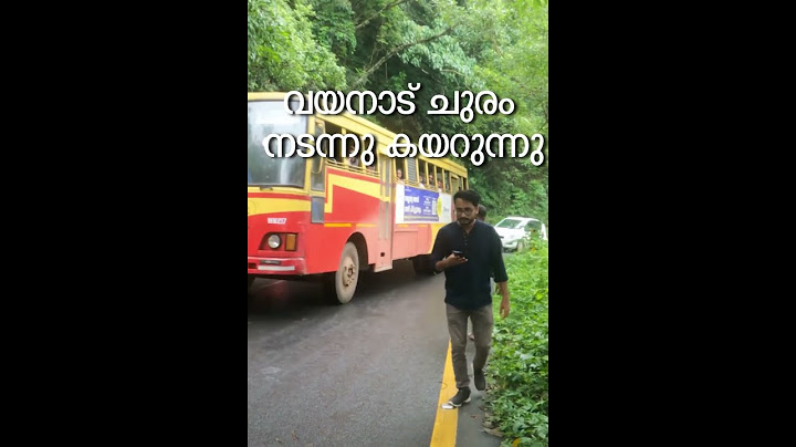 വയനാട്‌ താമരശ്ശേരി ചുരം നടന്നു കയറുന്നു. #wayanad #kerala #trekking