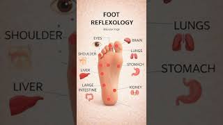 Foot Reflexology: Heal Your Body Through Your Feet #shorts #healthover60