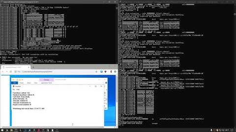 Travelling through time with WinDbg at a system level