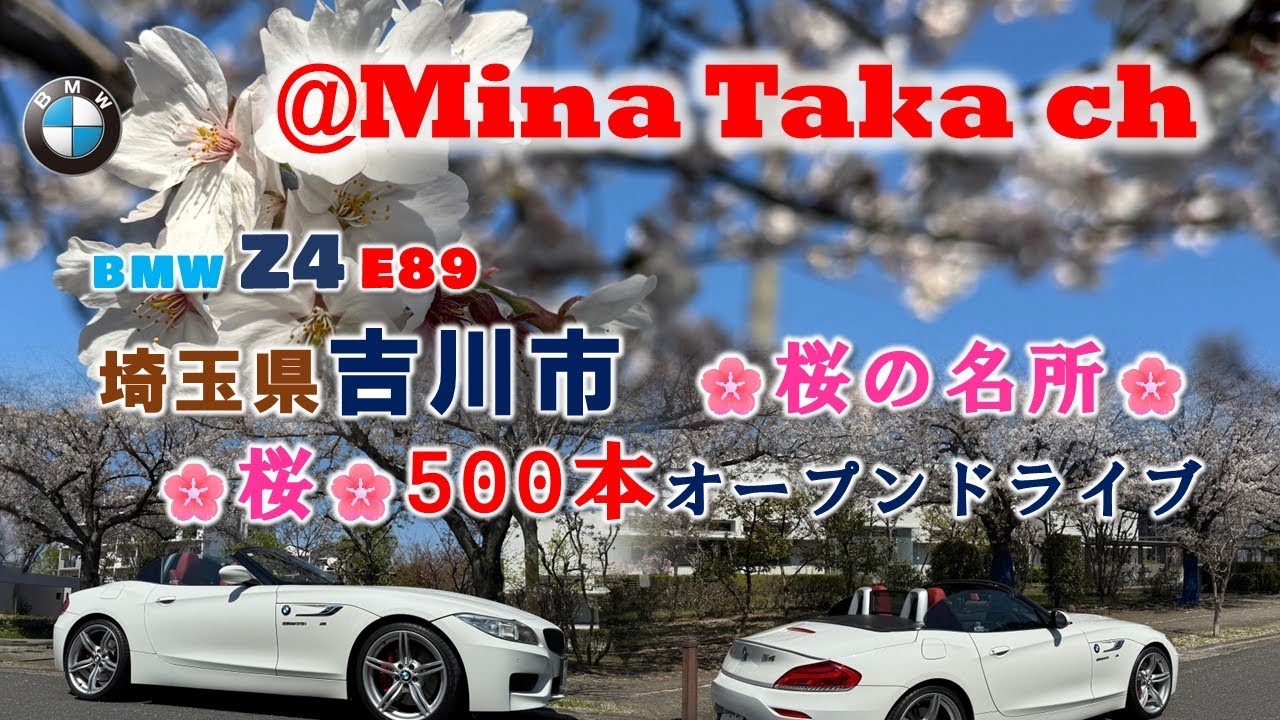 BMW Z4 E89】Yoshikawa City, Saitama Prefecture🌸 500 cherry trees