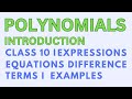 Class 10 Polynomials Introduction Algebraic Expressions Equations Terms Difference Examples Lecture1