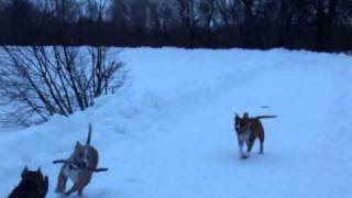 DSCF6533.AVI