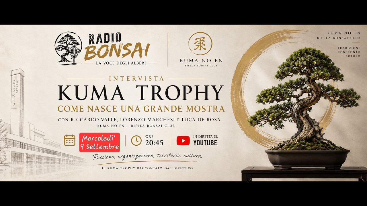 Anteprima video: La nostra idea per il Biella Bonsai