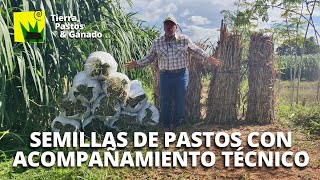 Nuestros Pastos con Acompañamiento Técnico 5 meses