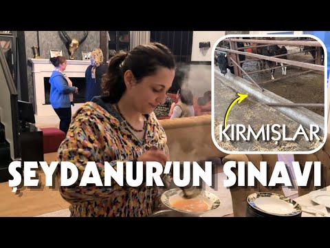 AKŞAMA İFTAR VAR, ELEKTRİKLER GİTTİ!