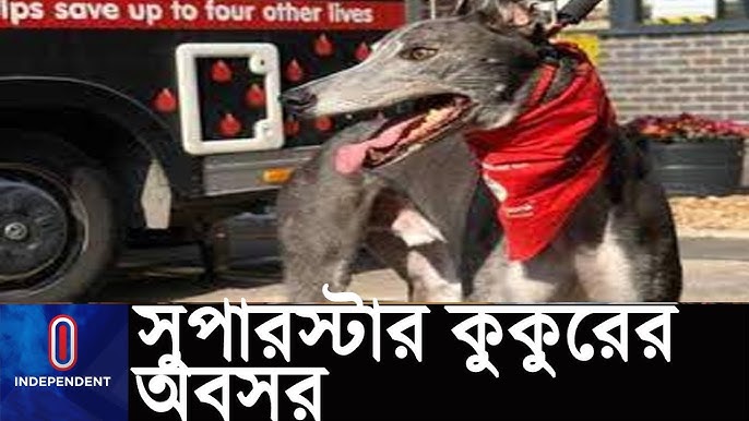 Uyqudagi jinsiy aloqa videolarini onlayn tomosha qiling Chiroyli qiz bilan gozal jinsiy aloqani tomosha qiling