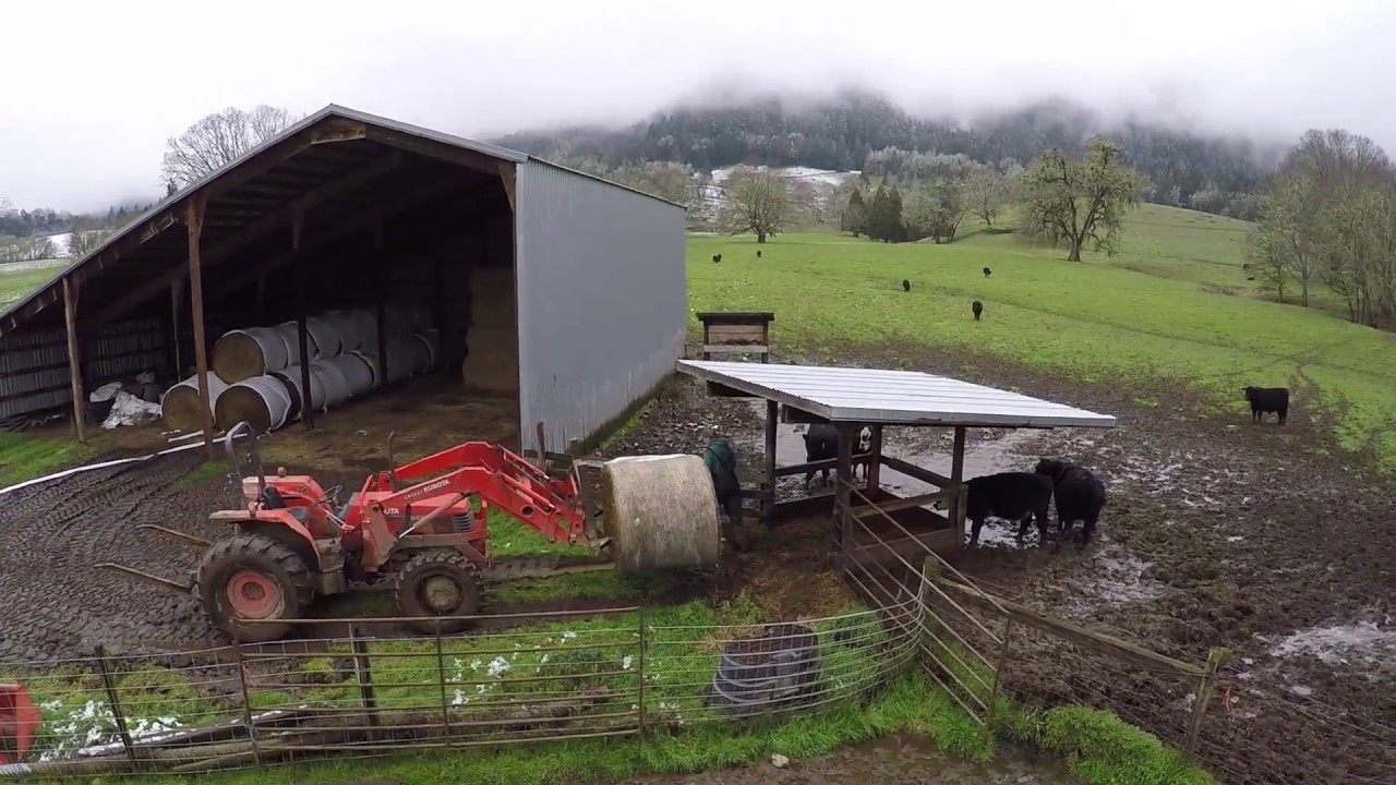 Hauling Haylage Kruse Farms YouTube