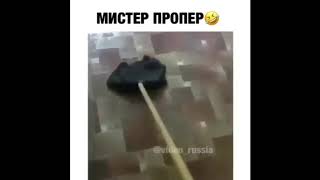 УГАР Мистер пропер веселей в доме чистота раз быстрей  Мистер пропер пиздабол нихуя не моет пол!