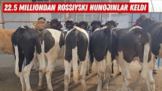 Akarom Akadan Judda Qulay Narxlarda Rossiyski Hunojinlar Keldi 