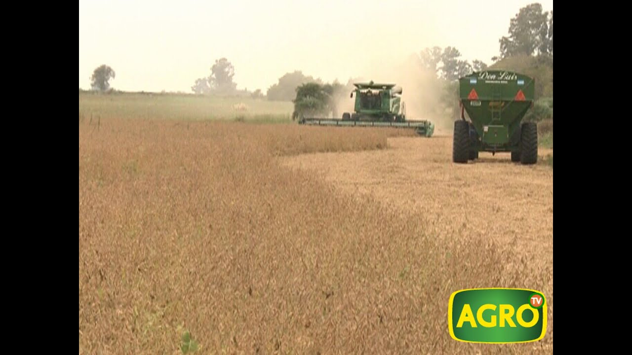 Torresi: La apuesta tecnológica de una familia de contratistas. (