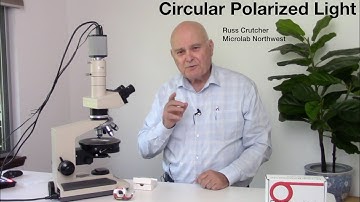 Circular Polarized Light