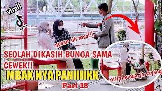 BIKIN CEWEK SALTING WKWK | SEOLAH DIKASIH BUNGA SAMA CEWEK PART 18
