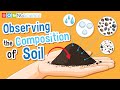 Unveiling Soil Secrets: Types, Composition, and Their Role in Life