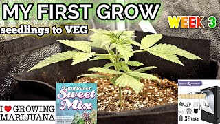 My First Grow Week 3 ILGM SWEET MIX Gelato Wedding Cake Zkittlez Autoflower's