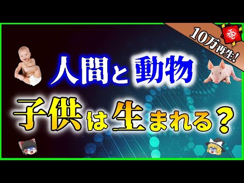 【ゆっくり解説】「人間」と「動物」の「子供」は生まれるのか？を解説【科学解説】