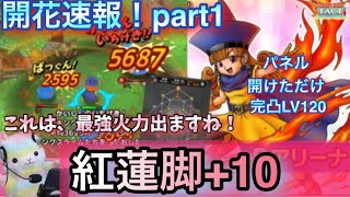 【ドラクエタクト】アリーナの才能開花速報！完凸LVMAX紅蓮脚+10火力！マジで強い！