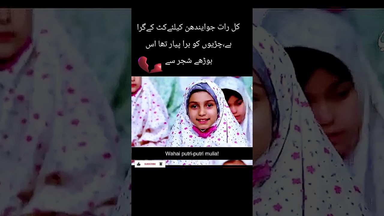 آیت اللہ خامنہ آئی صاحب  جاتے جاتے کتنے معصوموں کو یتیم کر گئے ایسی عظیم شہادت  کے دنیا رشک کر تی ہے