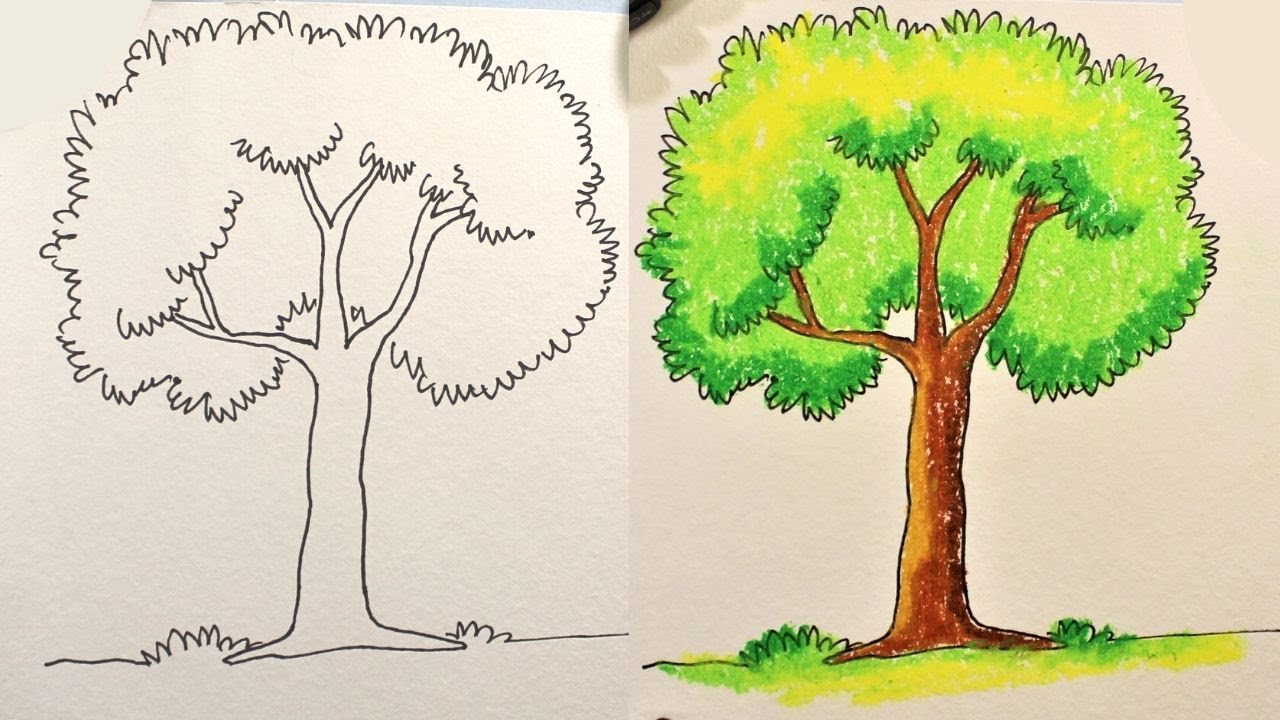 How to Draw a Tree Step by Step - Draw for Kids | Sunday Art Class ...