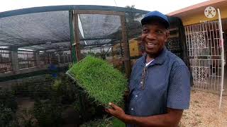Influencers in Agriculture: Mr. Linton Neil