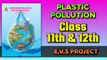 Plastic Pollution Evs Project |Class 11th And 12th|With PDF😍