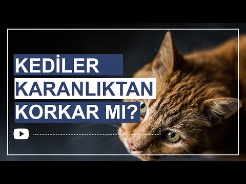 Video: Çift Damızlıklı Kanarya Kafesi Nasıl Yapılır