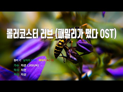 [은성 반주기] 롤러코스터러브(패밀리가떴다OST) - 지선(JISUN)