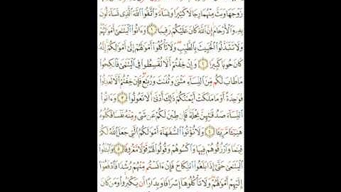 سورة النساء الآيات ( 1 ـ 6 ) إبراهيم الأخضر صفحة ( 77 )