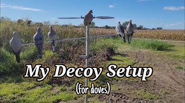 My Decoy Setup (for doves)