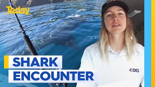 Kayaker shares terrifying shark experience | Today Show Australia