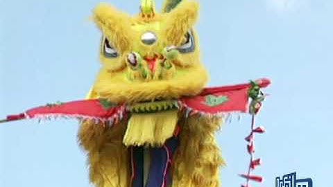 LÂN HÁI LỘC - HẰNG ANH ĐƯỜNG (LÂN SƯ RỒNG 2000)